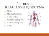 Širdies ir kraujagyslių sistema (skaidrės) 5 puslapis