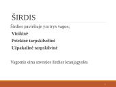 Širdies ir kraujagyslių sistema (skaidrės) 7 puslapis