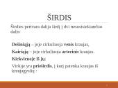 Širdies ir kraujagyslių sistema (skaidrės) 9 puslapis