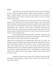 Europos sąjungos santykiai su kitais regionais ir šalimis 2 puslapis