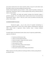 Europos sąjungos santykiai su kitais regionais ir šalimis 4 puslapis