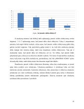 Paslaugų tobulinimas įmonėje „Rokiškio sūris“ 17 puslapis