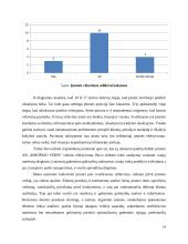 Paslaugų tobulinimas įmonėje „Rokiškio sūris“ 18 puslapis