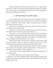 Paslaugų tobulinimas įmonėje „Rokiškio sūris“ 4 puslapis