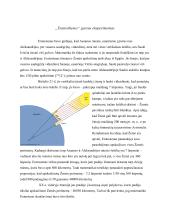 Eratostenas 3 puslapis