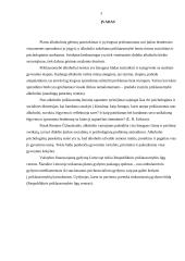 Socialinė pagalba nuo alkoholio priklausantiems asmenims 2 puslapis