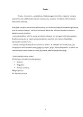 Pensijų sistema Lietuvoje (referatas) 3 puslapis