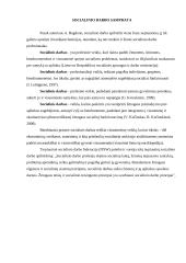 Socialinio darbo profesijos ištakos pasaulyje 2 puslapis