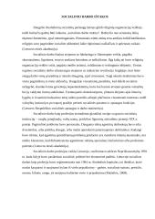 Socialinio darbo profesijos ištakos pasaulyje 3 puslapis