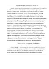 Socialinio darbo profesijos ištakos pasaulyje 4 puslapis