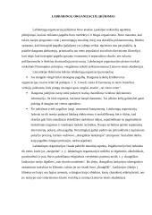 Socialinio darbo profesijos ištakos pasaulyje 6 puslapis