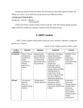 Finansinių rodiklių analizė: UAB "Vilkyškių pieninė" 17 puslapis