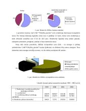 Finansinių rodiklių analizė: UAB "Vilkyškių pieninė" 6 puslapis