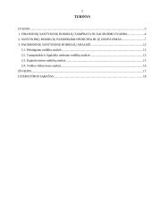 Finansinių santykinių rodiklių naudojimas 2 puslapis