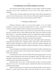 Finansinių santykinių rodiklių naudojimas 12 puslapis