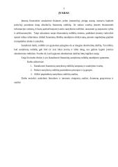 Finansinių santykinių rodiklių naudojimas 3 puslapis