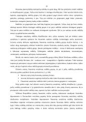 Finansinių santykinių rodiklių naudojimas 10 puslapis