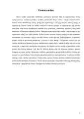 Firminis stilius: prekyba kompiuterių komponentais ACME 5 puslapis