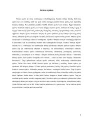 Firminis stilius: prekyba kompiuterių komponentais ACME 8 puslapis