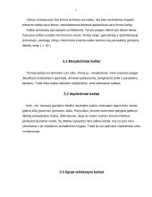 Firmos ilgu laikotarpiu negaunančios ekonominio pelno 4 puslapis