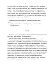 Firmos ilgu laikotarpiu negaunančios ekonominio pelno 9 puslapis