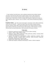 Elektromechanikos praktikos ataskaita 2 puslapis