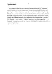 Firmos įvaizdžio kūrimas 10 puslapis