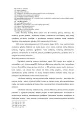 Vyriausybės vykdoma fiskalinė politika 11 puslapis