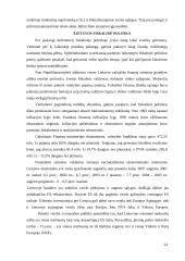 Vyriausybės vykdoma fiskalinė politika 12 puslapis