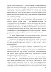 Vyriausybės vykdoma fiskalinė politika 14 puslapis