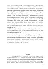 Vyriausybės vykdoma fiskalinė politika 16 puslapis