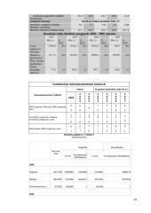 Vyriausybės vykdoma fiskalinė politika 19 puslapis