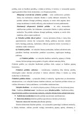 Vyriausybės vykdoma fiskalinė politika 5 puslapis