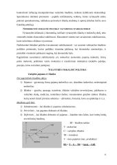Vyriausybės vykdoma fiskalinė politika 6 puslapis