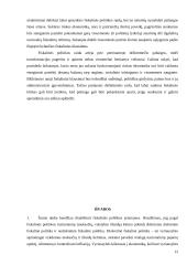 Fiskalinės politikos priemonės, jos įgyvendinimo problemos, ribojimai ir pasirinkimo galimybės 12 puslapis