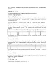 Tiesinių lygčių sistemos. Sprendimų pavyzdžiai 3 puslapis