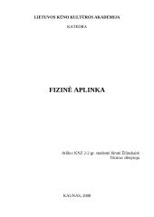 Fizinė aplinka