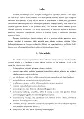 Fizinė aplinka 2 puslapis