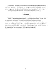 Fizinė aplinka 11 puslapis