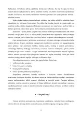 Fizinė aplinka 9 puslapis