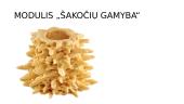 Šakočių gamyba (skaidrės) 2 puslapis