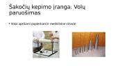 Šakočių gamyba (skaidrės) 19 puslapis