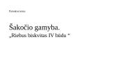 Šakočių gamyba (skaidrės) 3 puslapis