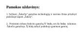 Šakočių gamyba (skaidrės) 4 puslapis