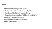 Šakočių gamyba (skaidrės) 5 puslapis