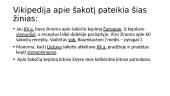 Šakočių gamyba (skaidrės) 7 puslapis