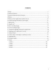 Fizinė negalia 2 puslapis