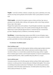 Fizinė negalia 3 puslapis