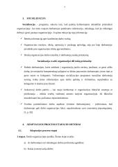 Formalios ir neformalios adaptacijos įtaka darbo efektyvumui ir naujoko savijautai 7 puslapis