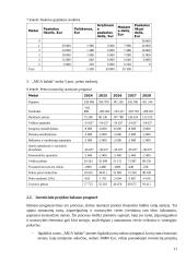 Investicinio projekto efektyvumo ir rizikos vertinimas (referatas) 10 puslapis